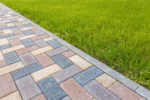 Best Driveway Paving Contractor  in Flora Vista, NM