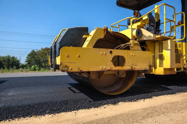 Best Driveway Pavers Cost  in Flora Vista, NM